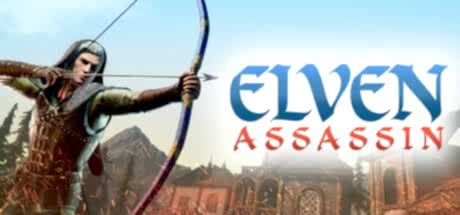 Elven Assasin poster